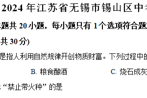 2024年江苏省无锡市锡山区中考模拟化学试题 （含解析）