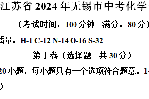 2024年江苏省无锡市中考化学试题（含解析）