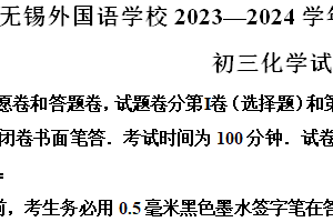 2024年江苏省无锡市中考一模化学试题（含解析）