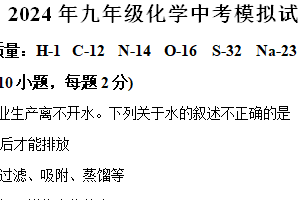 2024年江苏省徐州市沛县第五中学中考模拟化学试题（含解析）