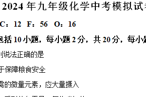 2024年江苏省徐州市铜山区柳新镇中心中学中考化学模拟试题1（含解析）