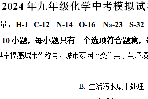 2024年江苏省徐州市铜山区柳新镇中心中学中考模拟化学试题2（含解析）