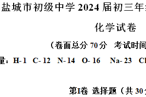 2024年江苏省盐城市初级中学中考二模化学试题（含解析）