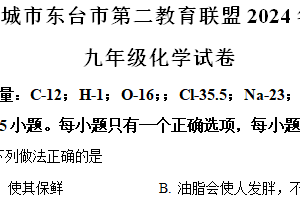 2024年江苏省盐城市东台市第二教育联盟中考一模化学试题（含解析）
