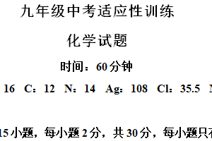 2024年江苏省盐城市建湖县中考三模化学试题（含解析）