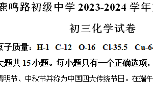 2024年江苏省盐城市鹿鸣路初级中学中考一模化学试题（含解析）