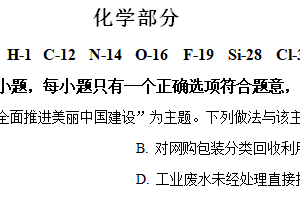 2024年江苏省盐城市亭湖区中考三模化学试题（含解析）