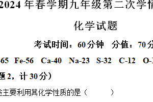2024年江苏省盐城市盐城经济技术开发区九年级二模化学试题（含解析）