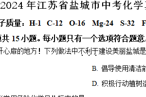 2024年江苏省盐城市中考化学真题（含解析）