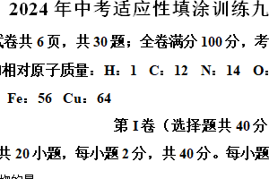 2024年江苏省镇江市丹徒区中考二模化学试题（含解析）