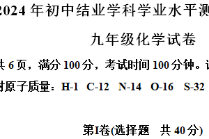 2024年江苏省镇江市新区第二次中考模拟化学试卷（含解析）
