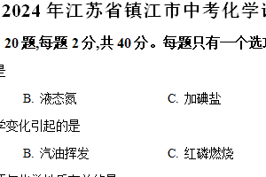 2024年江苏省镇江市中考化学试卷（含解析）