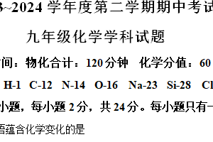 江苏省连云港市新海实验中学和外国语学校2023-2024学年九年级下学期期中化学试卷（含解析）