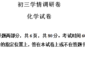 江苏省南京市建邺区金陵中学河西分校2023-2024学年九年级下学期4月月考化学试卷（含解析）