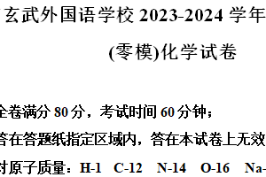 江苏省南京市玄武外国语学校2023-2024学年九年级下学期4月期中（零模）化学试卷（含解析）