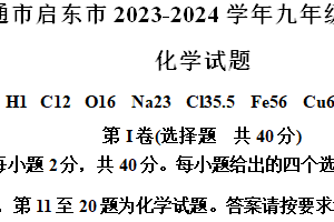 江苏省南通市启东市2023—2024学年九年级下学期3月月考化学试题（含解析）