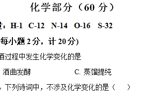 江苏省宿迁市2024年中考模拟化学试卷（含解析）