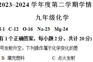 江苏省宿迁市沭阳县2024年中考一模化学试题（含解析）