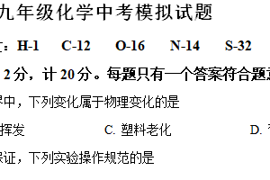 江苏省宿迁市泗洪县2024年中考模拟化学试题（含解析）