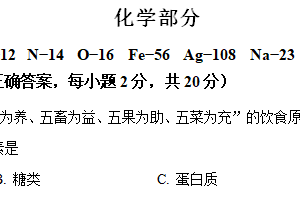 江苏省宿迁市泗阳县2023-2024学年下学期九年级第一次模拟考试化学试题（含解析）