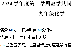 江苏省宿迁市宿城区新区九年级共同体2023-2024学年九年级下学期4月月考化学试题（含解析）