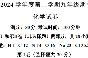 江苏省无锡市新吴区2023-2024学年九年级下学期期中测试化学试卷（含解析）
