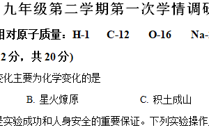 江苏省徐州市沛县第五中学2023-2024学年九年级下学期3月月考化学试题（含解析）