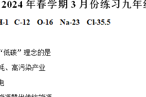 江苏省盐城市滨海县2023-2024学年九年级下学期3月月考化学试题（含解析）