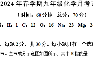 江苏省盐城市飞达路初级中学2023-2024学年九年级下学期3月月考化学试题（含解析）
