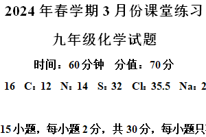 江苏省盐城市盐都区第一共同体2023-2024学年九年级下学期3月月考化学试题（含解析）