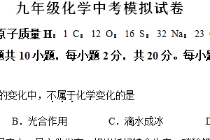 2024年江苏省淮安市洪泽区九年级中考化学模拟试卷（含解析）
