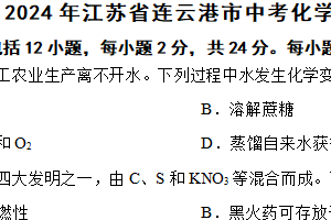 2024年江苏省连云港市中考化学真题（含解析）