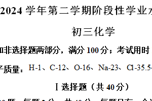 2024年江苏省苏州市常熟市九年级化学零模试卷 （含解析）