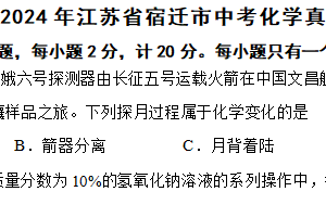 2024年江苏省宿迁市中考化学真题（含解析）