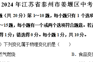 2024年江苏省泰州市姜堰区中考化学模拟试卷（含解析）