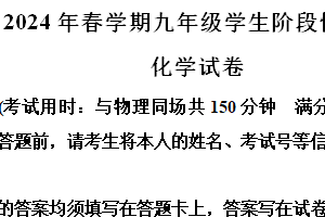 2024年江苏省泰州市兴化市九年级一模化学试题（含解析）