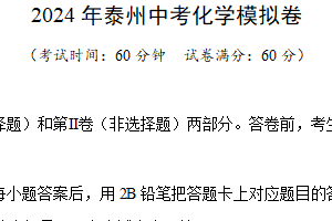 2024年江苏省泰州中考化学模拟卷（含解析）