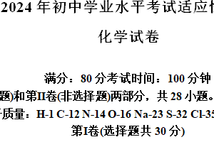 2024年江苏省无锡市新吴区5月中考适应性练习化学试题(含答案)