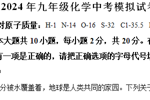 2024年江苏省徐州市树人初级中学中考化学模拟试题（含解析）