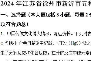 2024年江苏省徐州市新沂市五科联考中考化学模拟试卷（含解析）