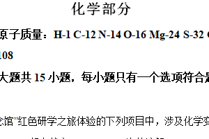 2024年江苏省盐城市大丰区九年级一模化学试题（含解析）