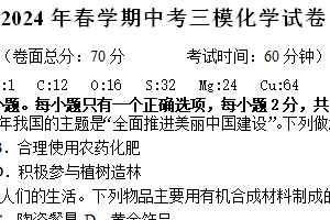 2024年江苏省盐城市大丰区中考三模化学试题（含答案）