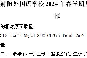 2024年江苏省盐城市射阳外国语学校中考一模化学试题（含解析）