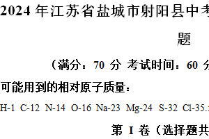 2024年江苏省盐城市射阳县中考第一次调研考试化学试题（含解析）