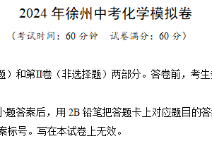 2024年徐州中考化学模拟卷（含解析）