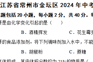 江苏省常州市金坛区2024年中考化学二模试题（含解析）