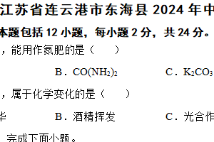 江苏省连云港市东海县2024年中考化学一模试卷（含解析）