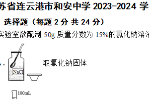 江苏省连云港市和安中学2023-2024学年九年级下学期化学4月月考试题（含解析）