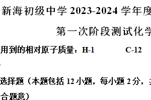 江苏省连云港市新港初级中学2023-2024学年九年级下学期第一次月考化学试卷（含解析）