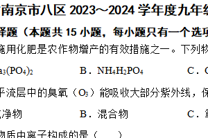 江苏省南京市八区2023～2024学年度九年级第二学期化学期中学情分析试卷（含解析）